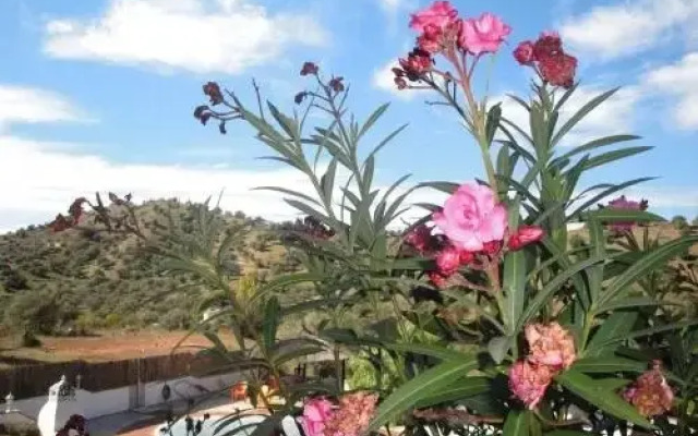 Casa El Corasueno