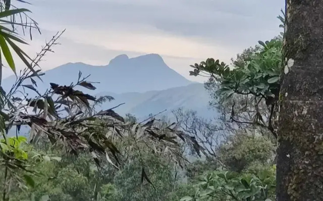 Jade Hills Coorg