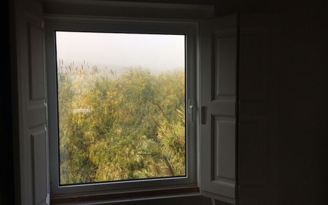 Quinta Ribeira do Labrador - Lisbon West Wine Route