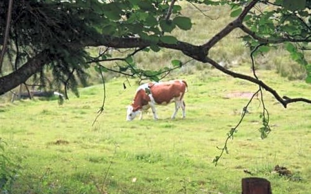Notre Dame des Monts