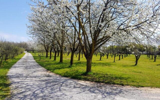 Agriturismo Borgo Borromeo