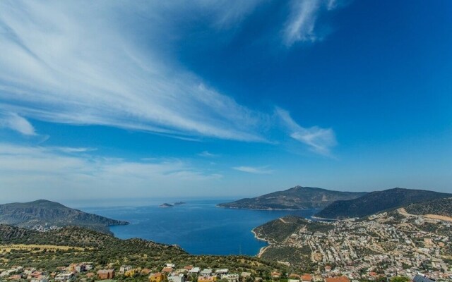 Villa Biba 2 by Lycia Collections