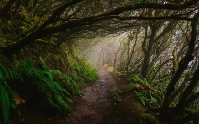 Oasis Penthouse in Santa Cruz by Edén Rentals