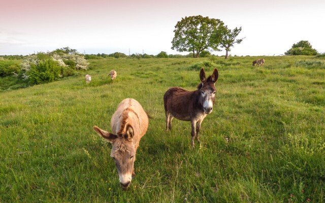 Agriturismo Alture di Polazzo