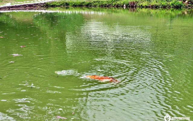 Eco Chalés Luar das Marés
