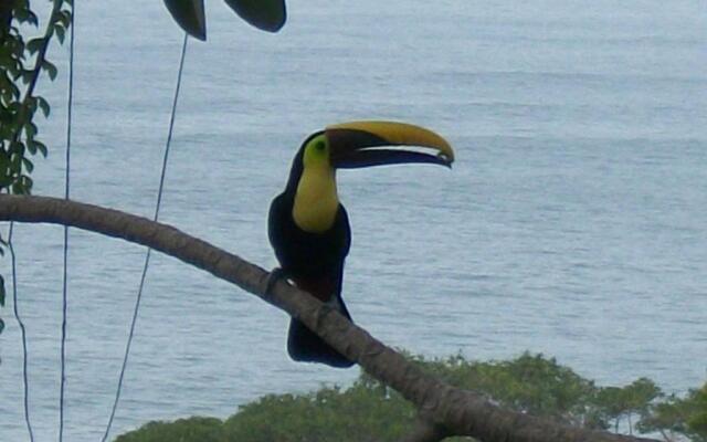 Kiskadee Casa