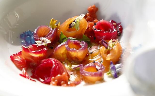 Mango Luxury Resorts