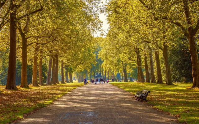 OYO Townhouse 30 Sussex Hotel