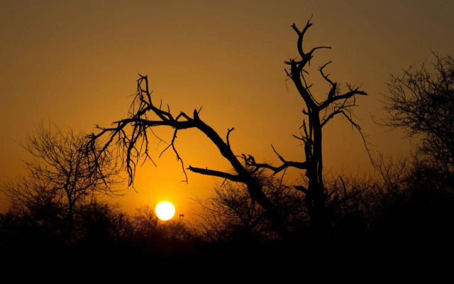 Rhino Ridge Safari Lodge