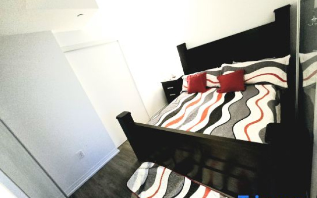 Stylish Luxe Apartment one bedroom with couch.