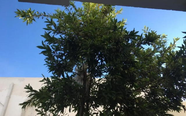 Maison Avec Jardin Garage