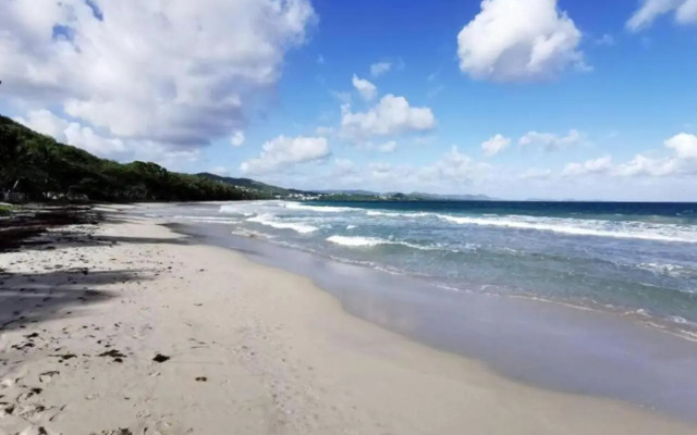Villa Cocotier à 50 mètres de la plage