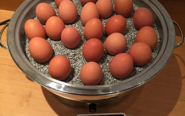 Hotel Hasselhof Superior