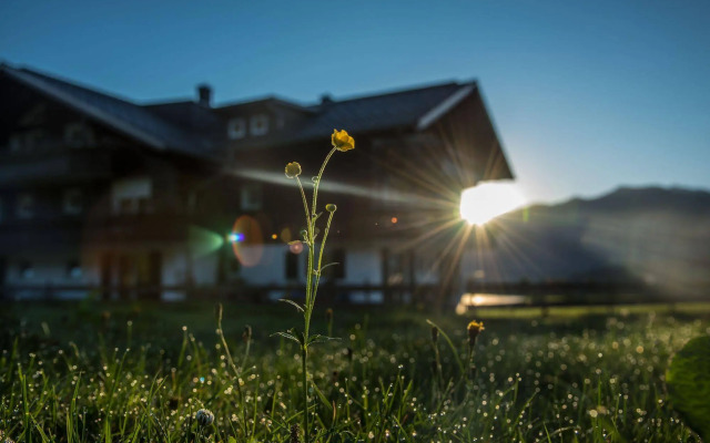 Alpenhaus Steiner