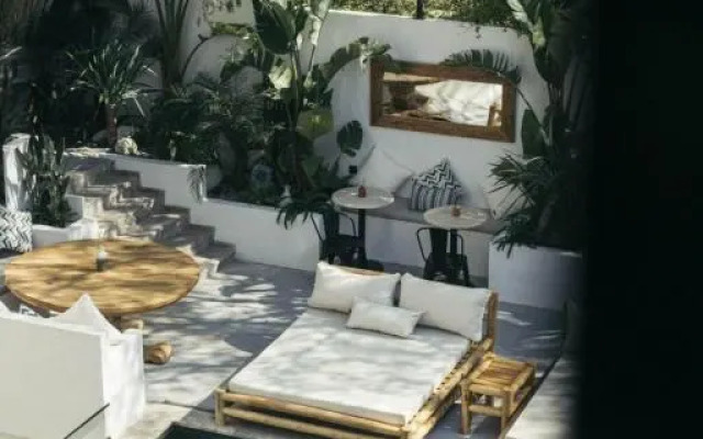 Primus Nefes Adults Only