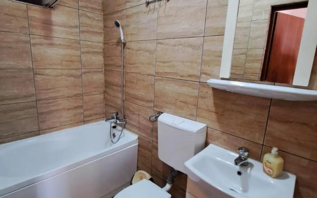 Apartment Cozia