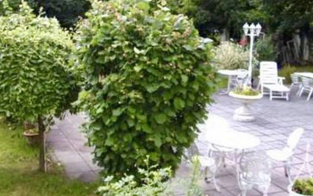 Parkhotel