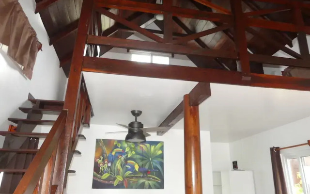Green Parrot Beach Houses and Resort