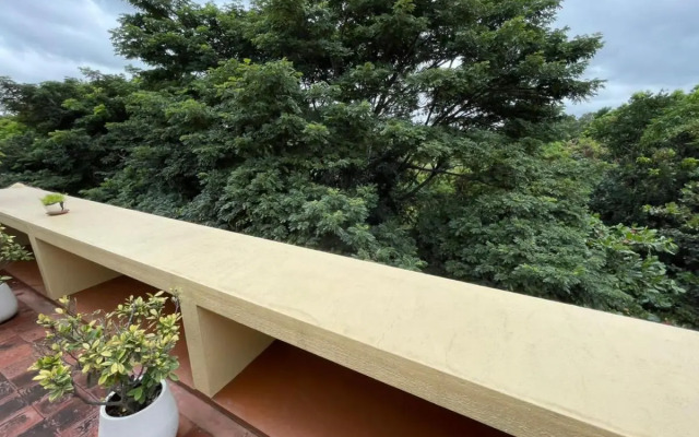 Polonest Cocoon By Morpho Domlur, Bengaluru