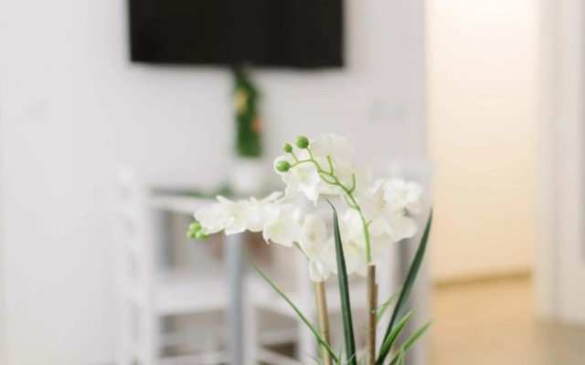 Ruža Apartmani Zadar