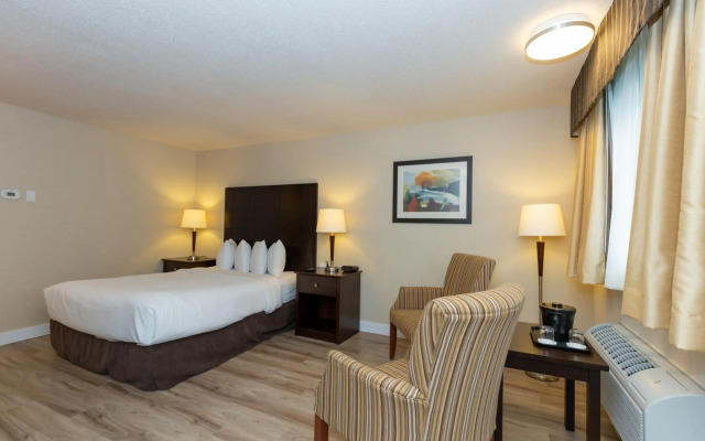 Quality Inn & Suites