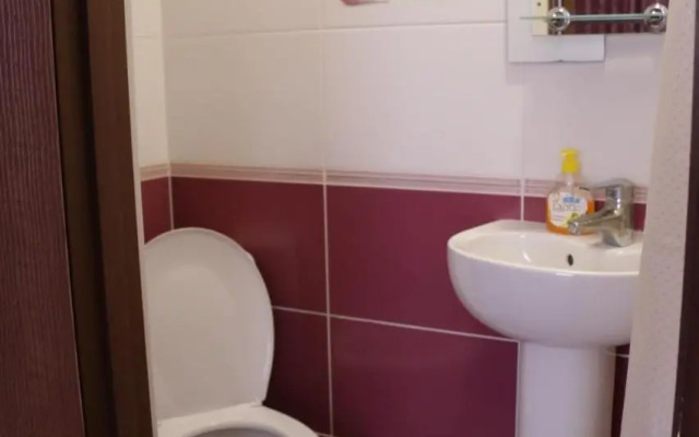 Карпатський маєток