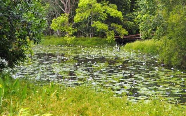 Lilypad Luxury Cabins