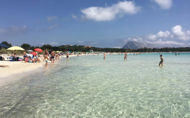 Sa Murta Bianca