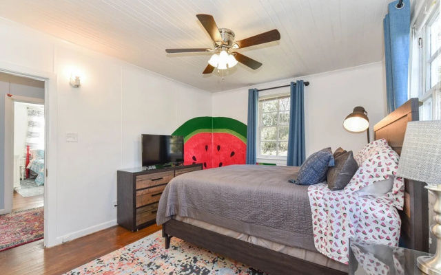 Summertime Pet-friendly 30 min Savannah