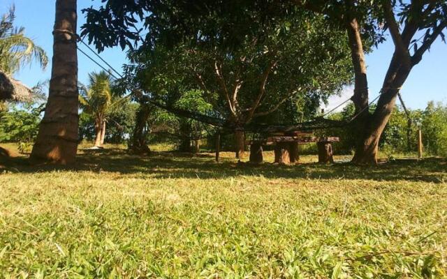 Yala Eco Tree House
