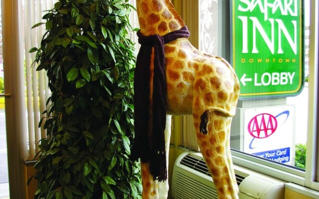 Safari Inn Downtown Boise