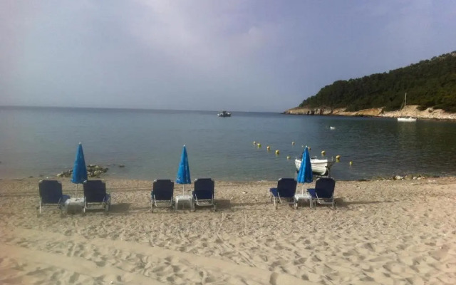 Blue Dreams Thimonia