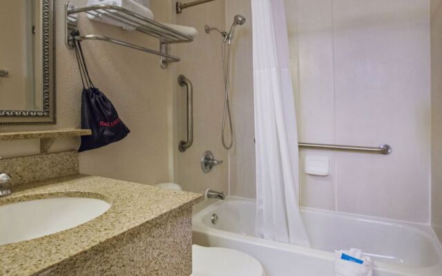 Tampa Waterfront 40977