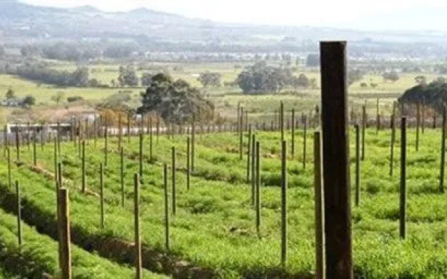 Druk-My-Niet Wine Estate