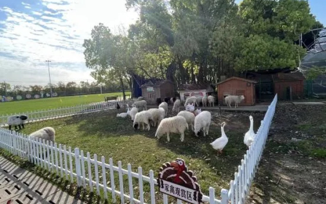 Shanghai Lazy Tiger Tribe B&B