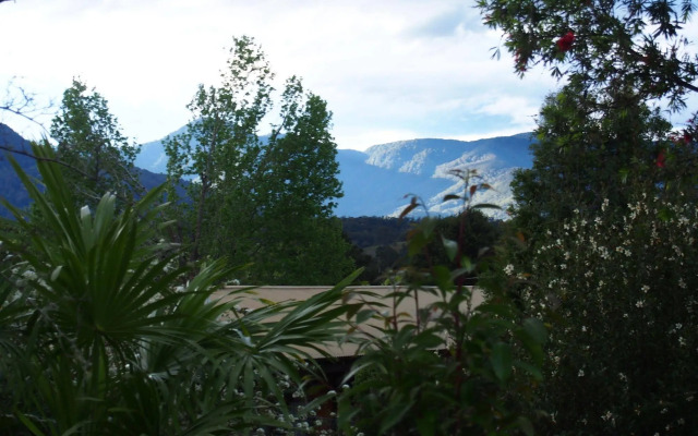 The Lodge Bellingen