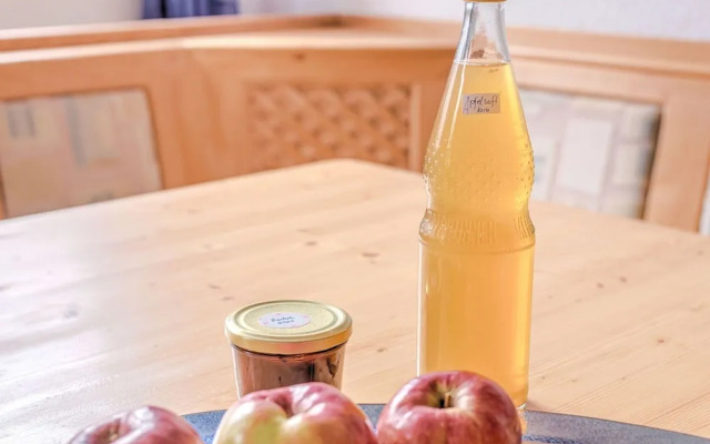 Apartment in Marktrodach With Sauna & Garden