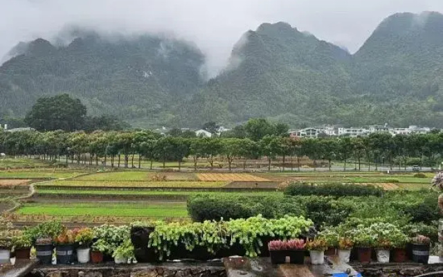 Yanshe wanglan Homestay