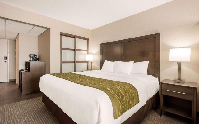 Comfort Inn & Suites Red Deer