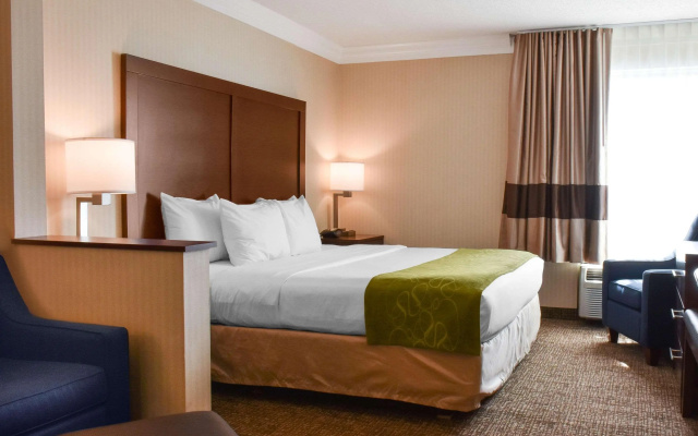 Comfort Suites Downtown Carlisle