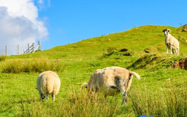 Ruoergi Yucang Haro Homestay