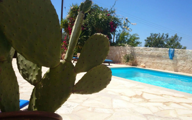 Prickly Pear