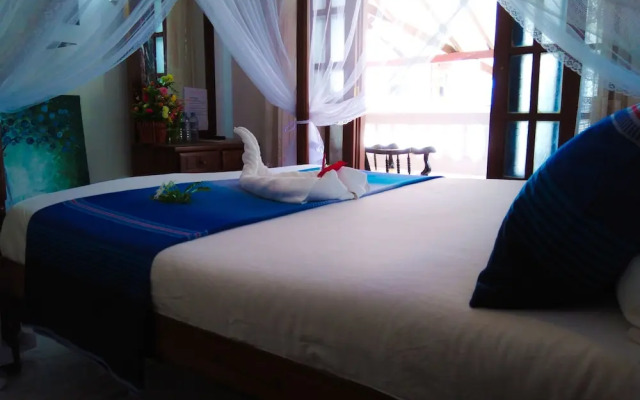 Galle Cemellia
