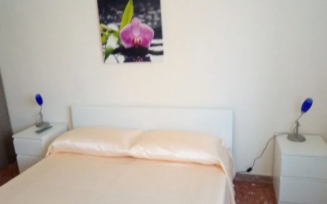 LovelyBed