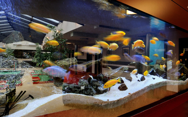 Hotel Diament Spodek Katowice