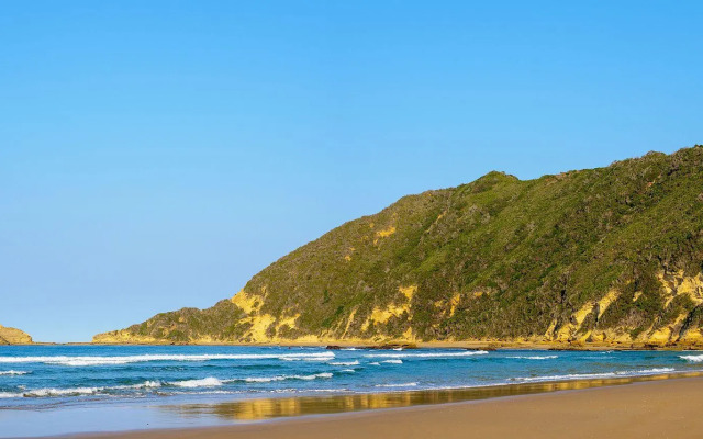 Simbavati Fynbos on Sea
