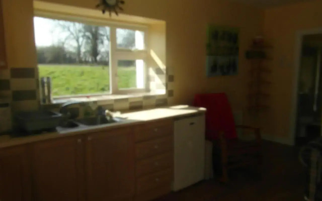 Country Studio