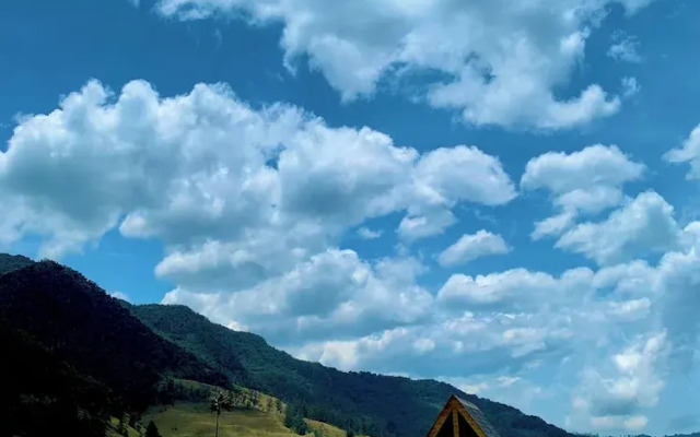 Refugios Nidos del Condor -Cocora-