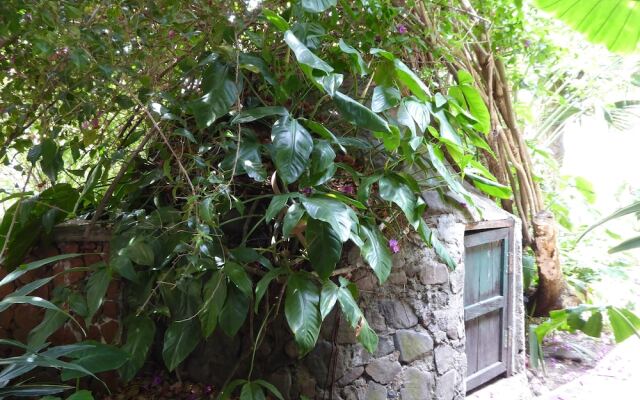 La Iguana Perdida - Hostel