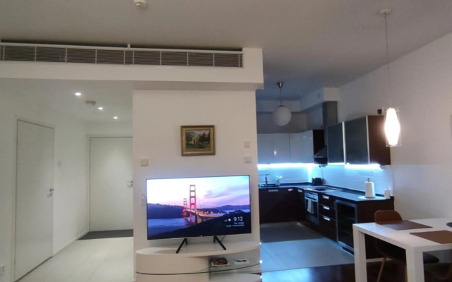 A luxurious aprtm with a sauna and terrace Netflix